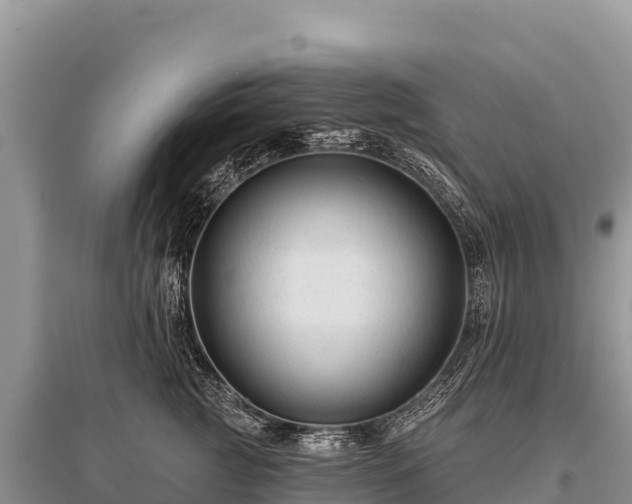 X0000096170761200801251150