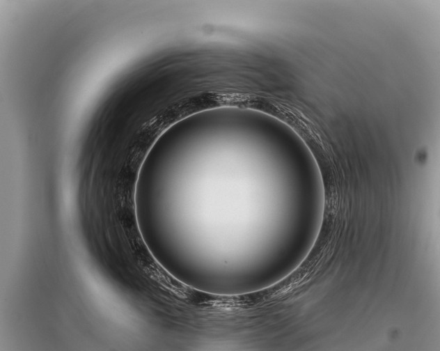 X0000096170763200801251150