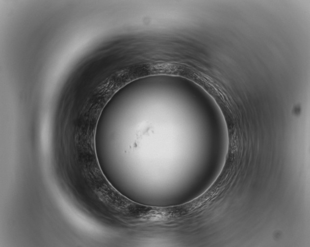 X0000096170764200801251150