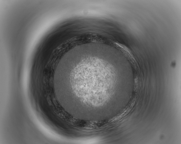 X0000096170765200801251150