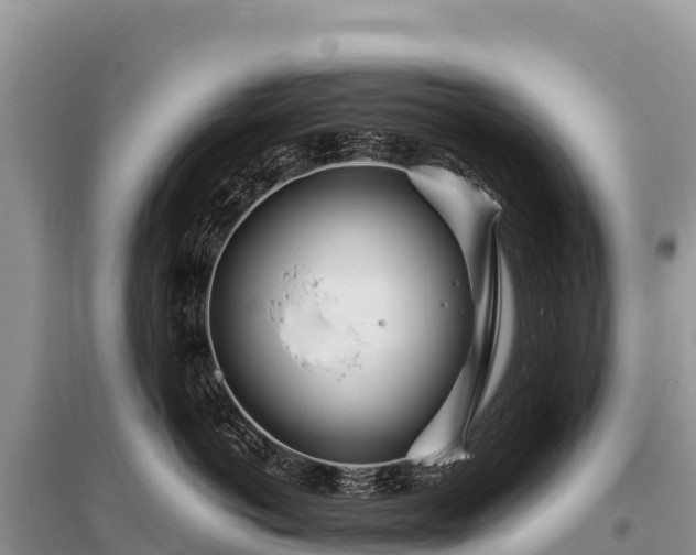 X0000096170766200801251150