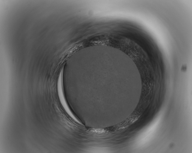 X0000096170767200801251150