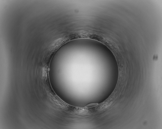 X0000096170768200801251150