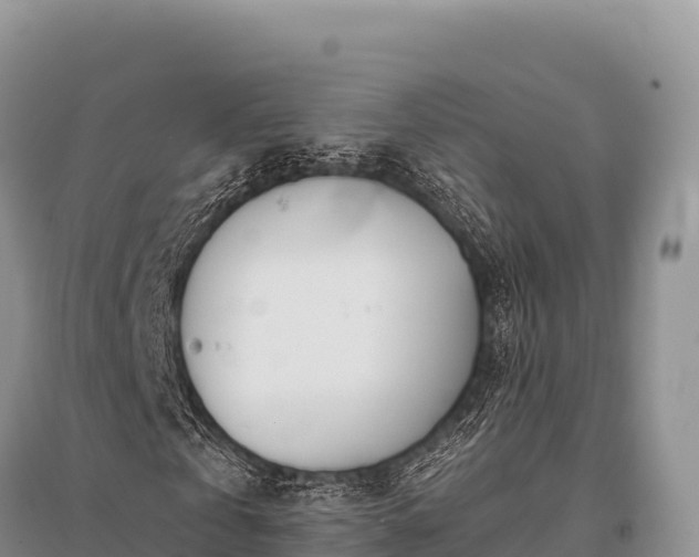 X0000096170769200801251150