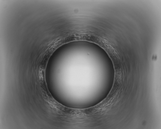 X0000096170770200801251150