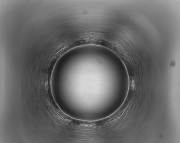 X0000096170771200801251150