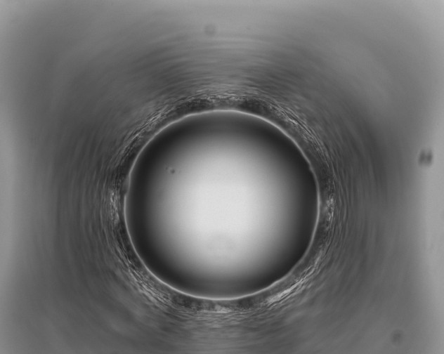 X0000096170772200801251150