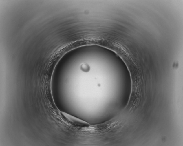 X0000096170773200801251150