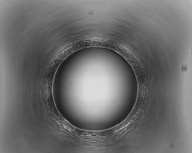 X0000096170774200801251150