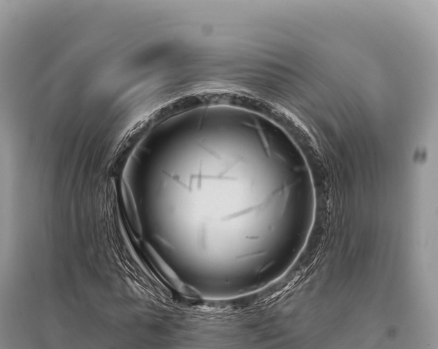 X0000096170775200801251150