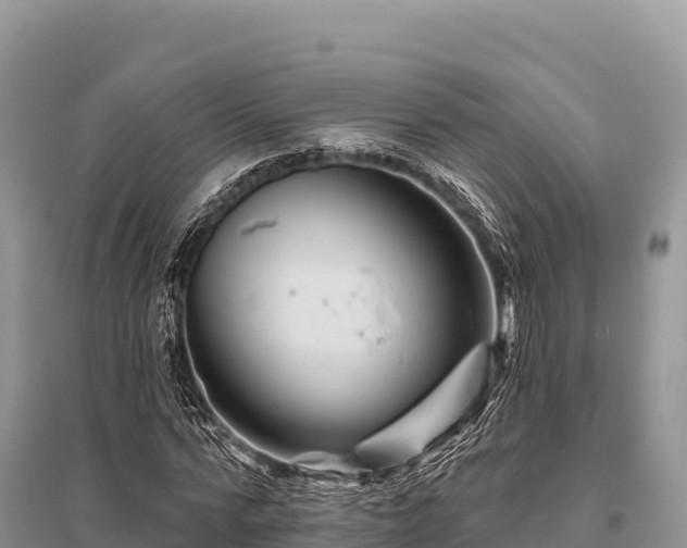 X0000096170776200801251150