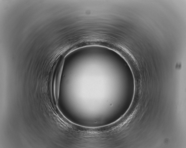 X0000096170777200801251150