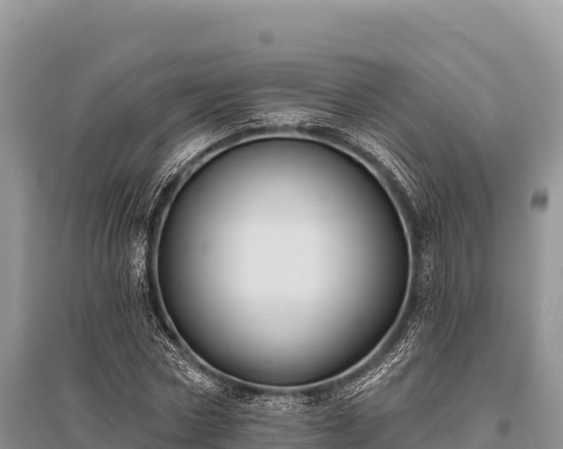 X0000096170778200801251150