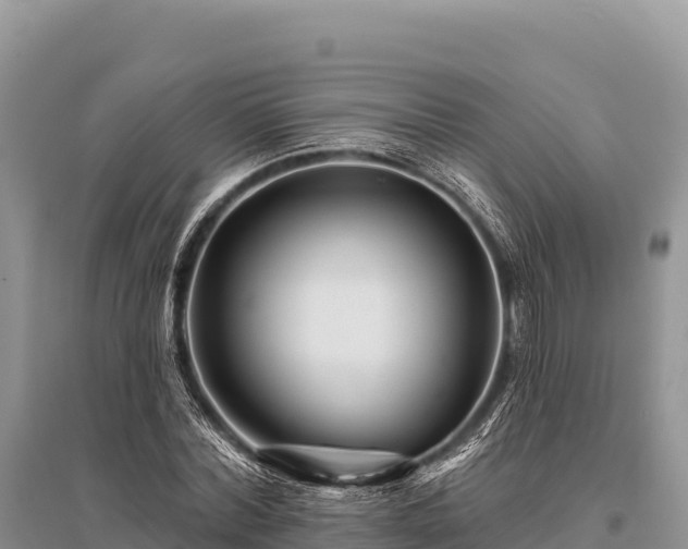 X0000096170780200801251150