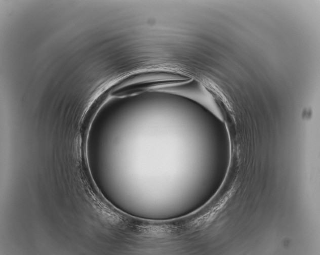 X0000096170781200801251150