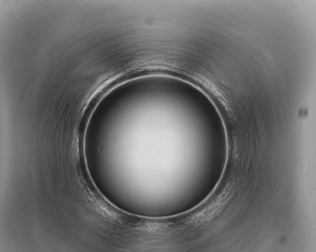 X0000096170782200801251150