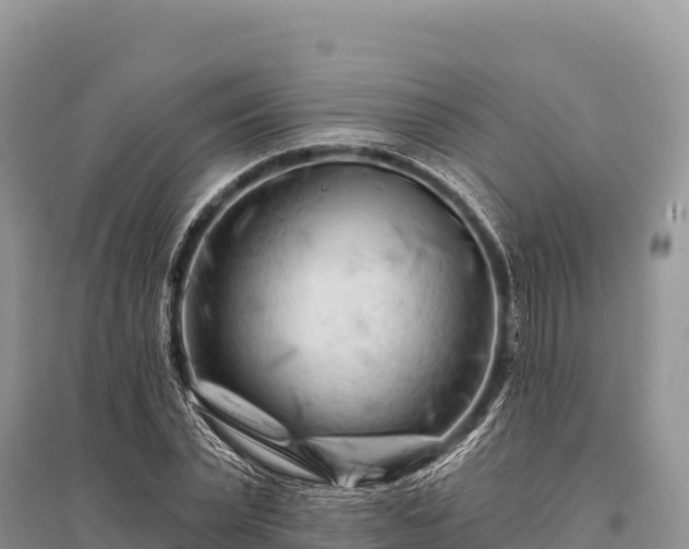 X0000096170783200801251150