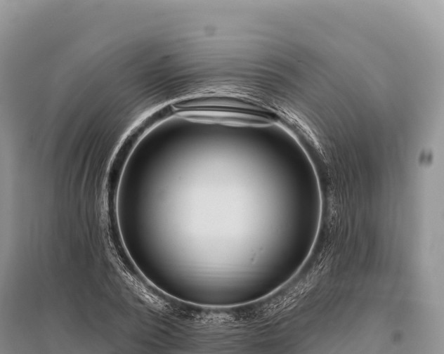 X0000096170784200801251150