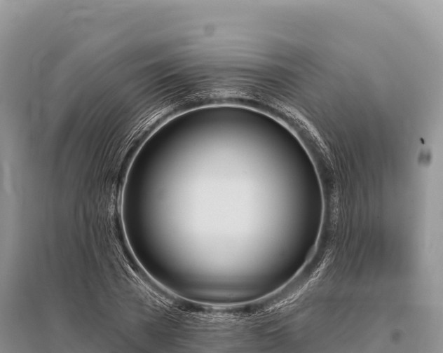 X0000096170785200801251150