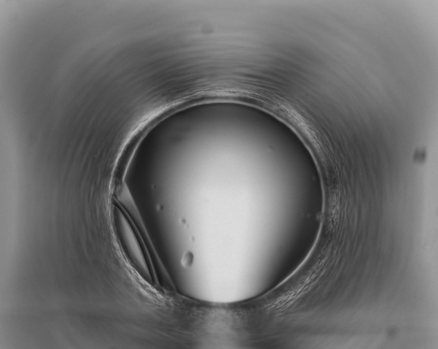 X0000096170787200801251150