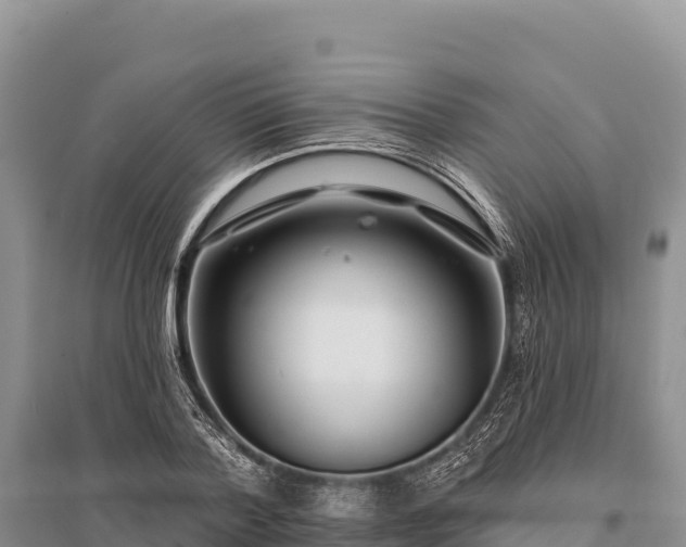 X0000096170788200801251150