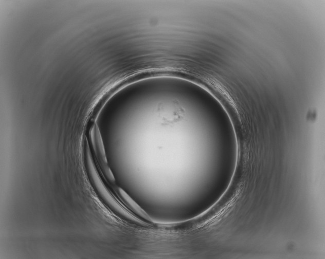 X0000096170789200801251150