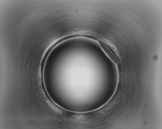 X0000096170792200801251149