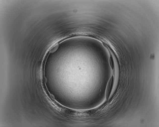 X0000096170795200801251149