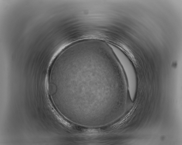 X0000096170796200801251149