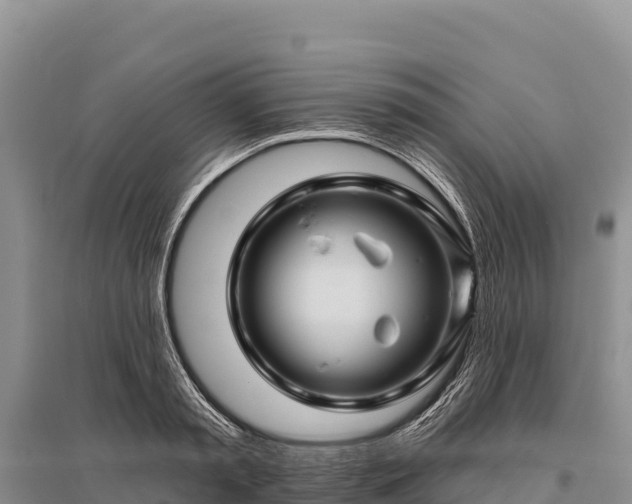 X0000096170797200801251149