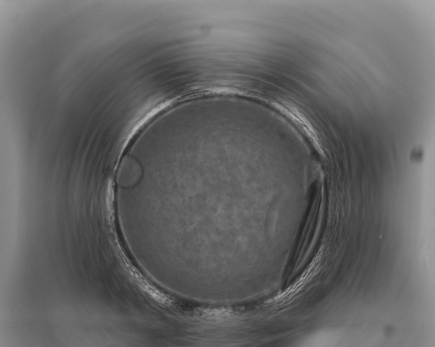 X0000096170798200801251149