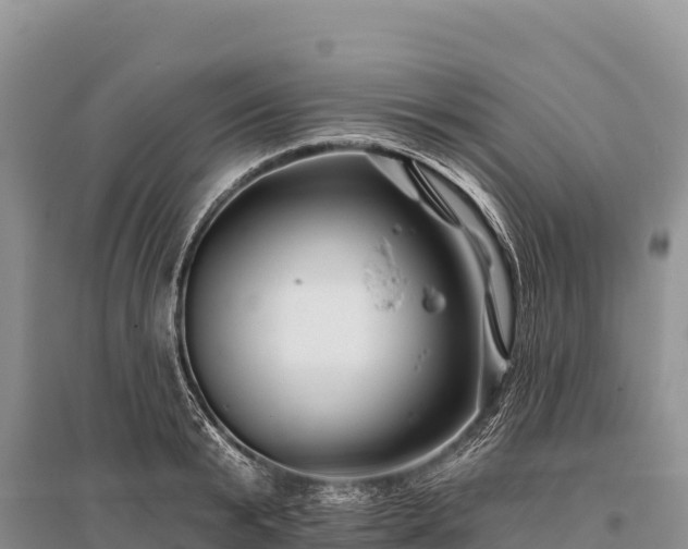 X0000096170799200801251149