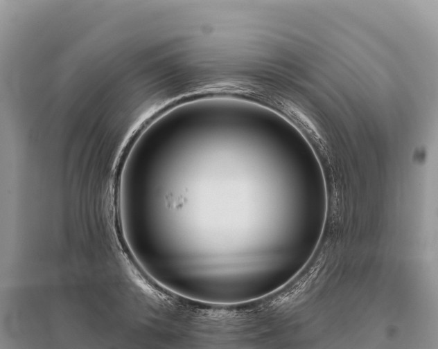 X0000096170800200801251149