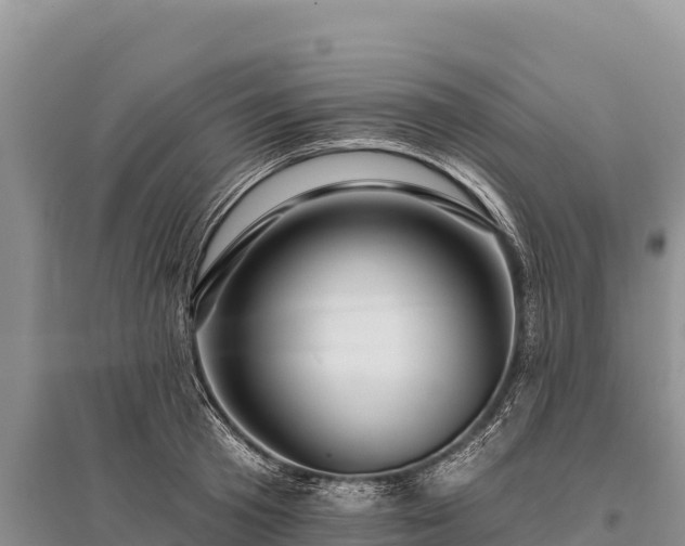 X0000096170801200801251149