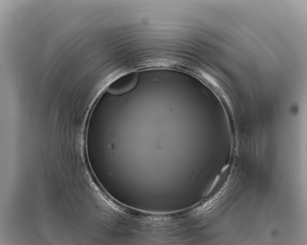 X0000096170802200801251149