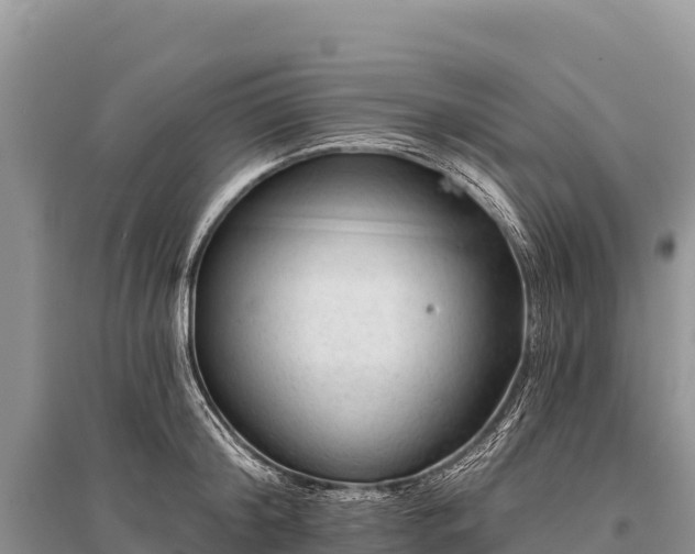 X0000096170804200801251149