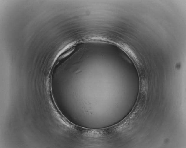 X0000096170806200801251149