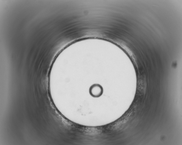 X0000096170807200801251149