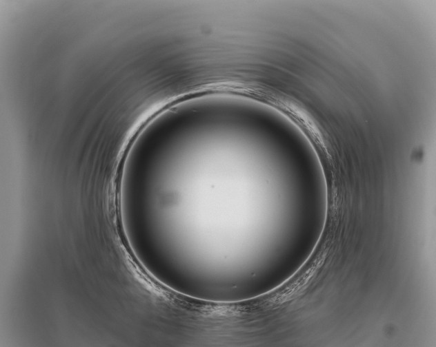 X0000096170808200801251149