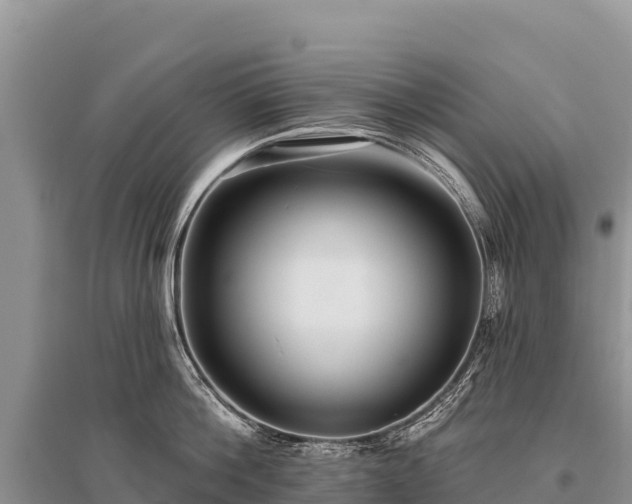 X0000096170812200801251149