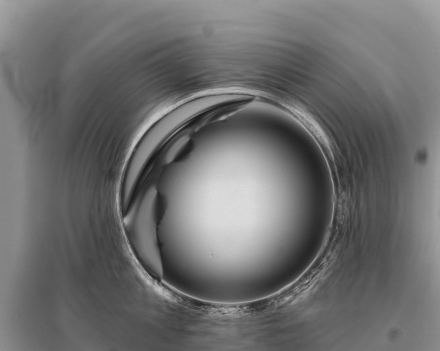 X0000096170813200801251149