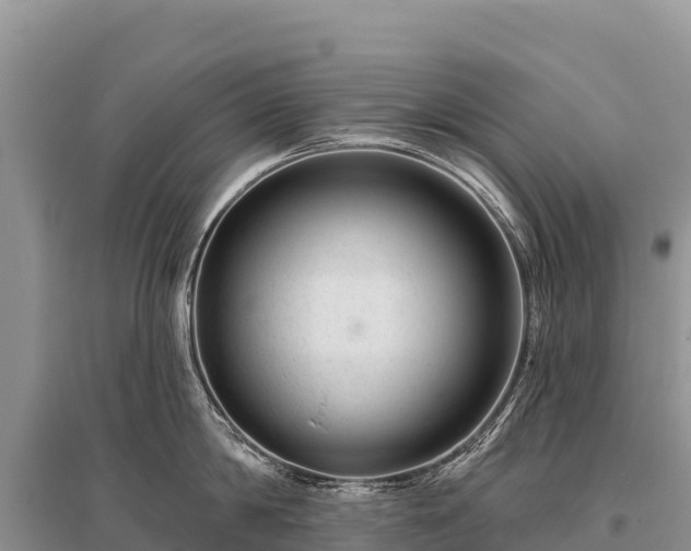 X0000096170814200801251149