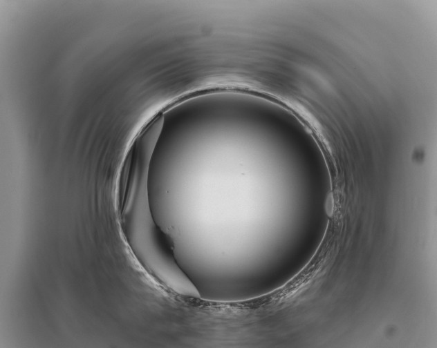 X0000096170815200801251149