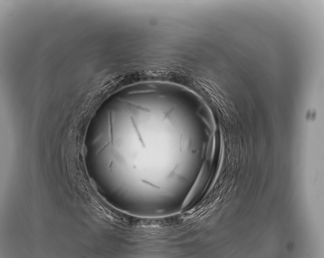 X0000096170817200801251148
