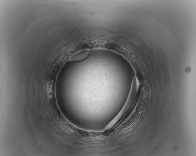 X0000096170818200801251148