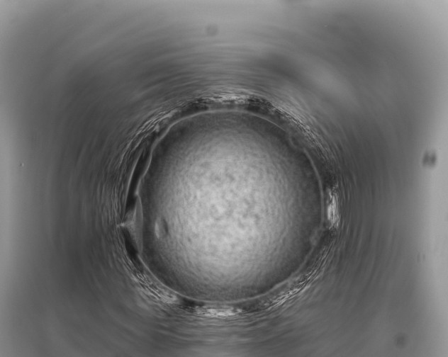 X0000096170819200801251149