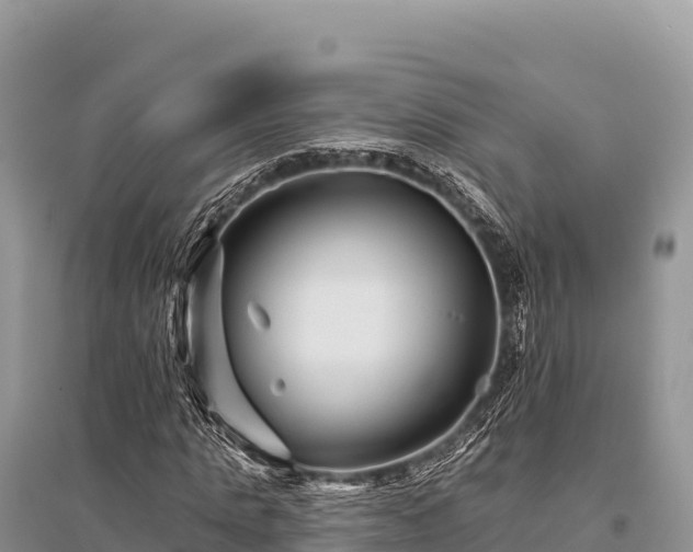 X0000096170821200801251149