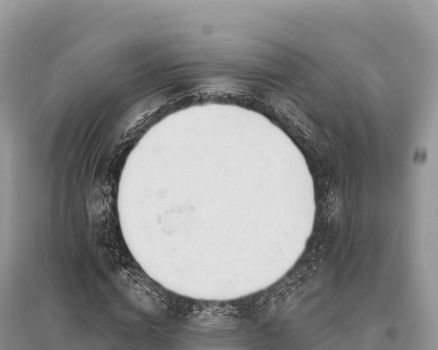 X0000096170824200801251149