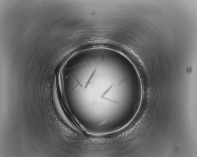 X0000096170825200801251149