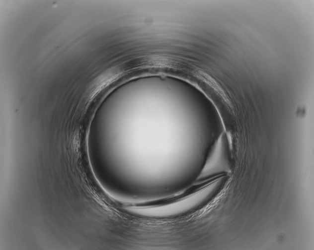 X0000096170826200801251149